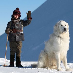 Photo Félix Bossuet