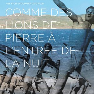 Photo Comme des lions de pierre à l’entrée de la nuit