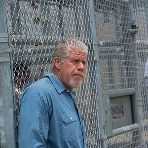 Photo Ron Perlman