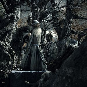 Photo Le Hobbit : la Désolation de Smaug