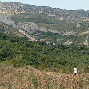 Photo Là-haut perchés