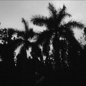 Photo Toute une nuit sans savoir