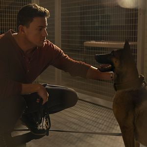 Photo Dog