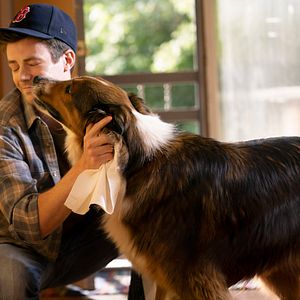 Photo Grant Gustin