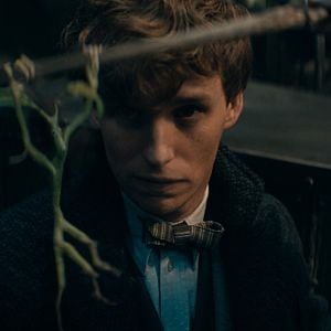 Photo Eddie Redmayne