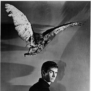 Photo Anthony Perkins
