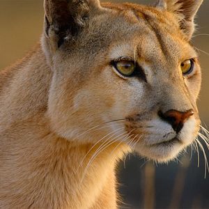 Photo Parcs nationaux : Ces merveilles du monde