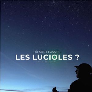 Photo Où sont passées les lucioles ?
