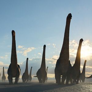 Photo Planète préhistorique