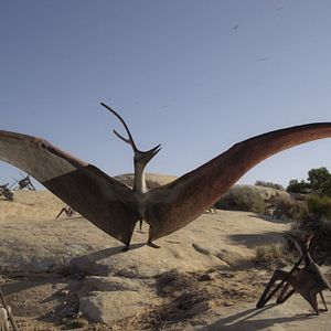 Photo Planète préhistorique