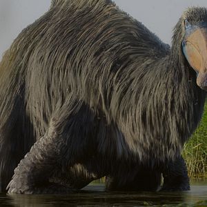 Photo Planète préhistorique