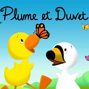 Photo Plume et Duvet