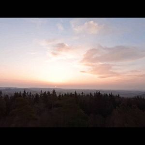 Photo Connexion Sauvage