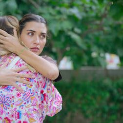 Photo Le Chemin de l'olivier