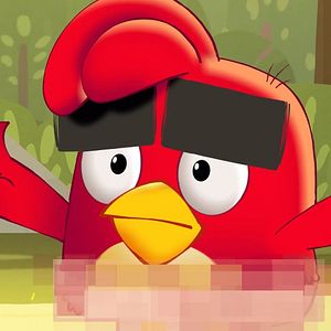Photo Angry Birds : Un été déjanté