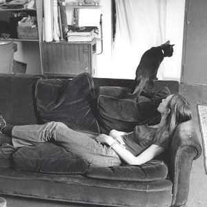 Photo Chacun cherche son chat