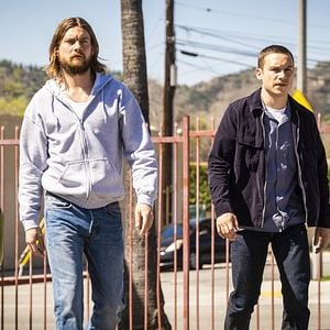 Photo Animal Kingdom