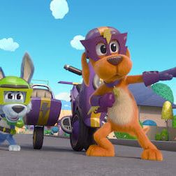 Photo Fonce, toutou, fonce !