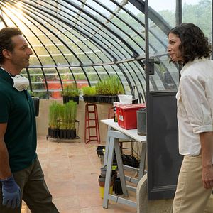 Photo Laurent Mouton