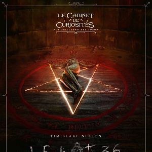 Photo Le Cabinet de curiosités de Guillermo del Toro