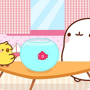 Photo Molang