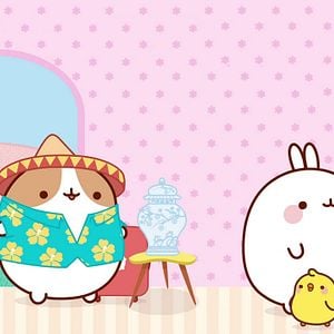 Photo Molang