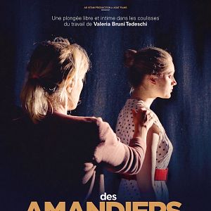 Photo Des Amandiers aux Amandiers