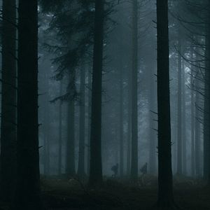 Photo Le Coeur noir des forêts