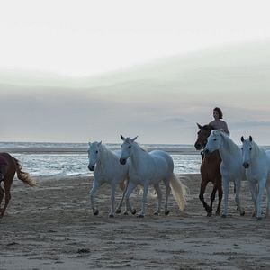 Photo Carmen Kassovitz