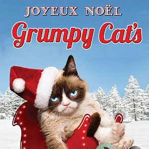 Photo Joyeux Noël Grumpy Cat
