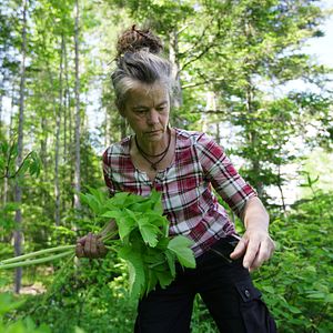 Photo La Famille de la forêt