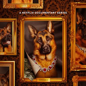 Photo Gunther, le chien qui valait des millions