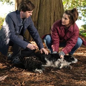 Photo Freddie Highmore