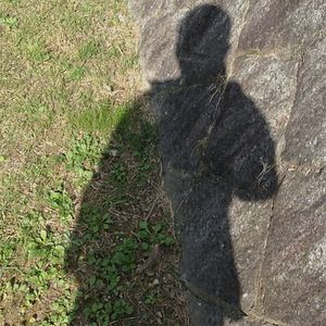 Photo Une fourmi contre-attaque