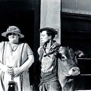 Photo Ma vache et moi