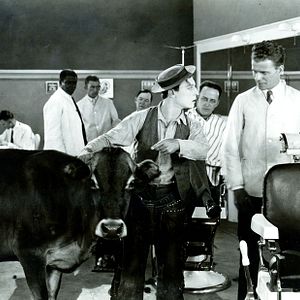 Photo Ma vache et moi