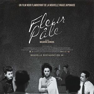 Photo Fleur pâle