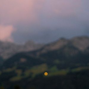 Photo La Mort du Loup