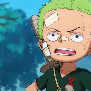 Photo One Piece