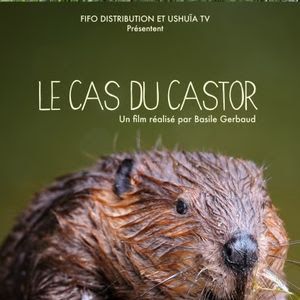 Photo Le Cas du castor
