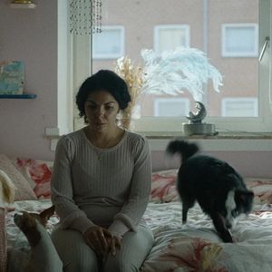 Photo Norwegian Offspring
