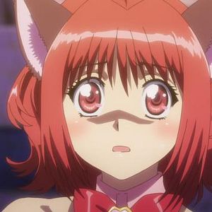 Photo Tokyo Mew Mew New