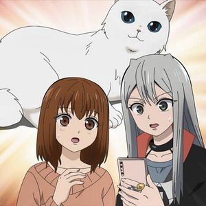Photo Too Cute Crisis