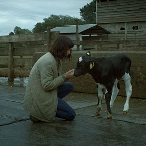 Photo La Vache qui chantait le futur