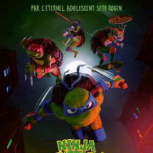 Photo Ninja Turtles: Teenage Years