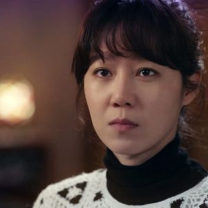 Photo When the camelia blooms