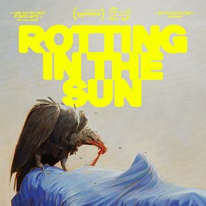Photo Rotting in the Sun