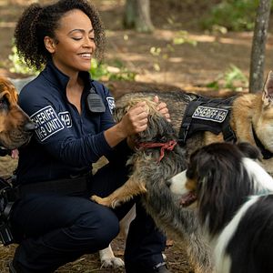 Photo Backstreet Dogs