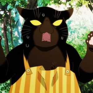 Photo Mon chat à tout faire est encore tout déprimé