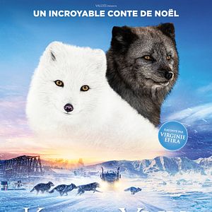 Photo Kina & Yuk : renards de la banquise